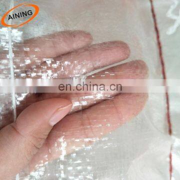 Clear Plastic pp Eco Material Woven Potato Vegetable Packaging Bags