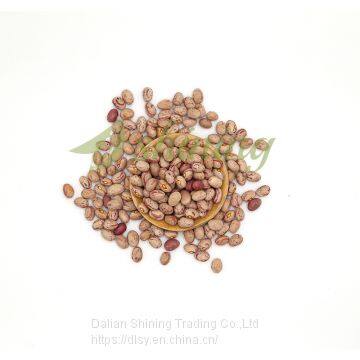 Best Light Speckled Kidney Beans Huanan Round Shape