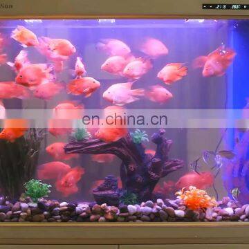 MOQ 500 pcs Home Office aquarium Hd glass Large fish tank Ecology aquarium with cabinet