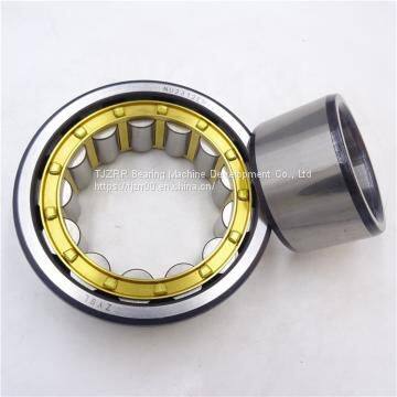 nsk 6205z bearing