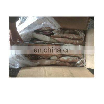 New Arrived Frozen Todarodes Squid photo-5