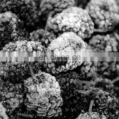 Healthy Taste Good Frozen Mulberry Freeze Mulberry photo-2