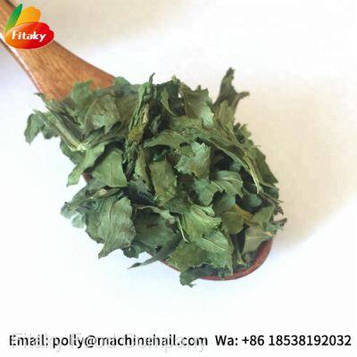 High Quality Organic Dried Celery Flakes Wholesale Price photo-2