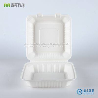 PFAS FREE Disposable Biodegradable 9*9 Take Away Sugarcane Bagasse Clamshell Container photo-2