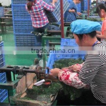 Christmas Tree Binding Branch Machine photo-5