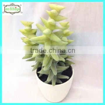 28cm high quality real touch artificial grafted cactus