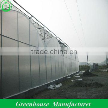 Plastic Cover Design Greenhouse