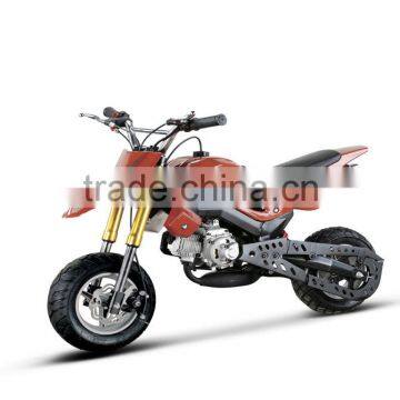 49cc 2 STROKE MINI DIRT BIKE FOR KIDS