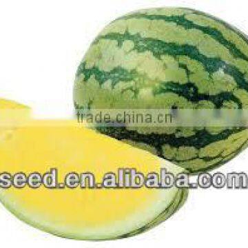 SX Chinese Hybrid Yellow Flesh Watermelon Seed