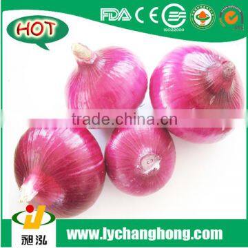 [HOT] Linyi Changhong Fresh Onions