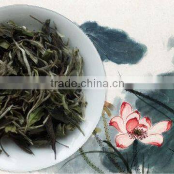 China White Peony Tea