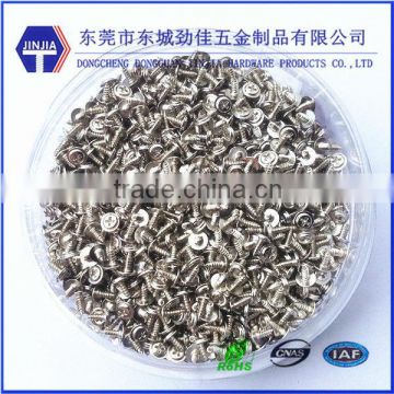 small eyeglass screws