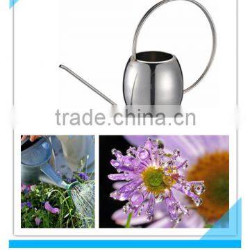 1.0L stainless steel watering can