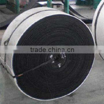 Flame Retardant Nylon Conveyor Belt Importers in China photo-4