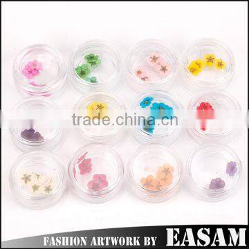 wholesale Nail Art Dry Dried Flowers Decoration With Mix Different Colors                        
                                                Quality Choice