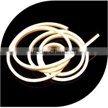 DC24V 5W/M Sign Making Neon Flex 24V photo-2