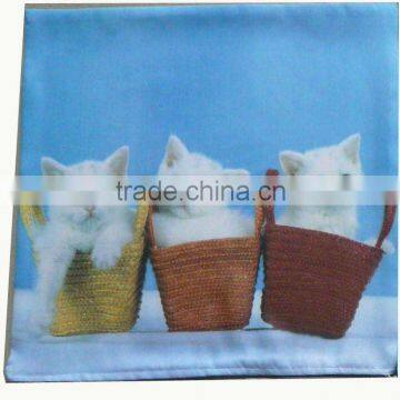 Printing Cashion & Cashion Cover photo-4