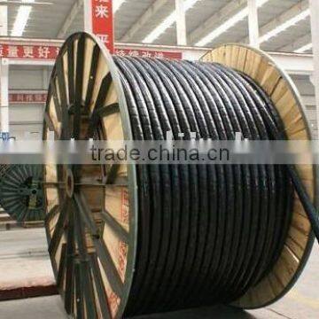 Supply PVC 95 120 150 185 240mm2 Cable for India Market