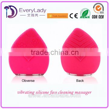 EveryLady new arrival cute facial cleansing massager