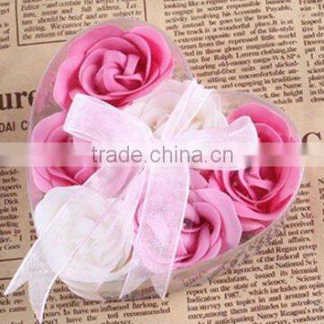beauty rose flower