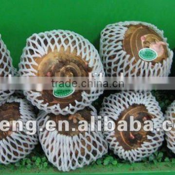 Taro With Wholesales Price from Factory