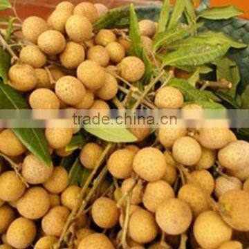 fresh longan