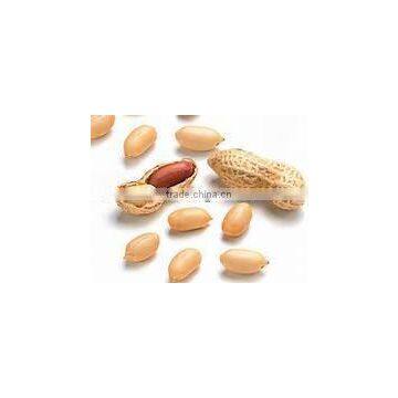 Peanut Without Shell photo-2