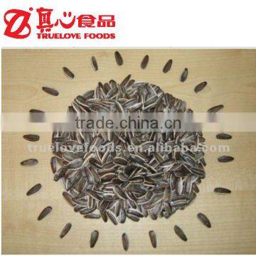 2016 new crop sunflower seeds