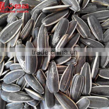 Original flavor type Sunflower Seeds