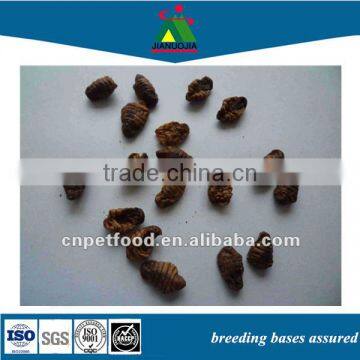 high protein chicken tropical parrot fish pet food