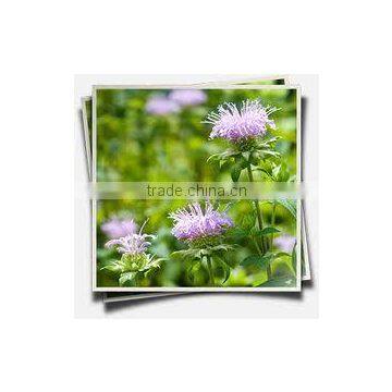 100% Original & Natural Bergamot Oil in India photo-2