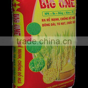 BIG ONE FOR RICE photo-2