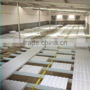 Large Multi-span and Fire Retardant Breeding Greenhouses , Pig House , Pig Shed photo-3