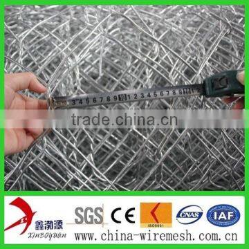 0.5-2mm Galvanized Hexagonal Wire Mesh photo-4