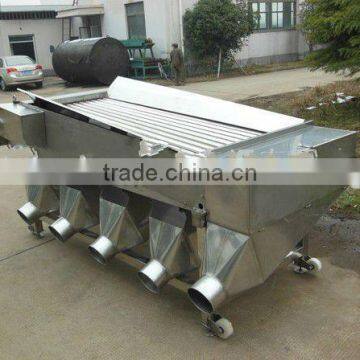 Squid Grading Machine,