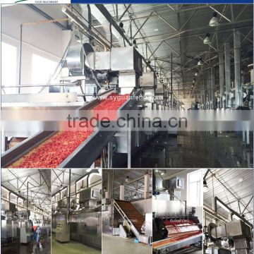 belt drying line-01