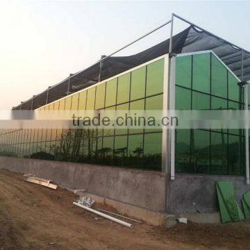 Tropical Multi Span Greenhouse for Agriculture