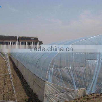 High quality agricultural film greenhouses for vegetables