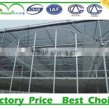 Hot Sale Vegetables Tunnel Greenhouse