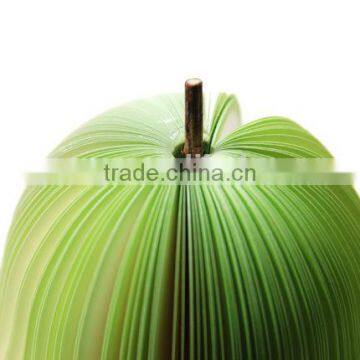 Promotional 3D Fruit Apple, Pear Watermelon Shaped Wholesale Note Paper Fruit Memo Pad photo-5