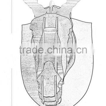 2017 Hot Sale Modern European Decorative Style Fashion Zebra Head Wall Decorations photo-3