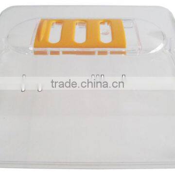 Children's Garden Pot ( Propagation Tray & Lid )