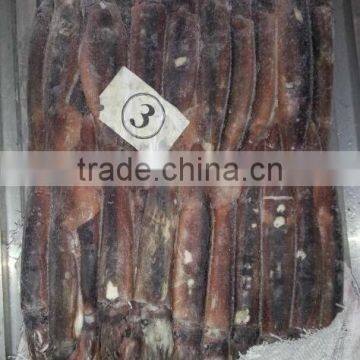 150-200g Frozen Illex Squid photo-2