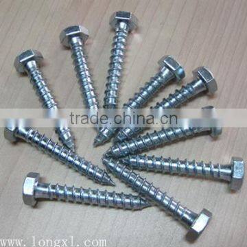 Hex Head Self Tapping Screws From Guangzhou Supplier