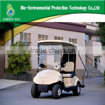 2 Seater mini golf cart for sale for promotion