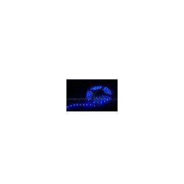 60led/m Non-waterproof SMD 3528 Flexible Blue Led Strip, 4.8w/m, 5m/reel, R/G/B/Y/WW/W/CW Availab