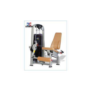 Body Fitness / Leg Extension XR13