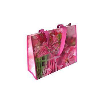 Pp Woven Laminated Bag
