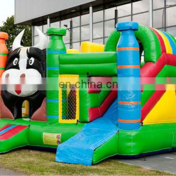 Double lanes Inflatable Slide Bounce Combo