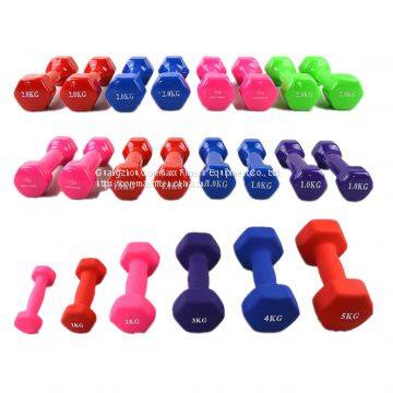 CM-842 Aerobic Plastic Dumbbells Gym commercial dumbbell